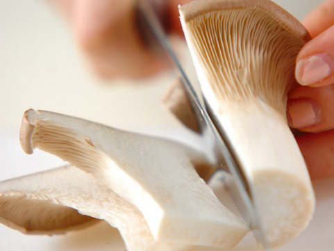 Frische BIO-Kräuterseitlinge