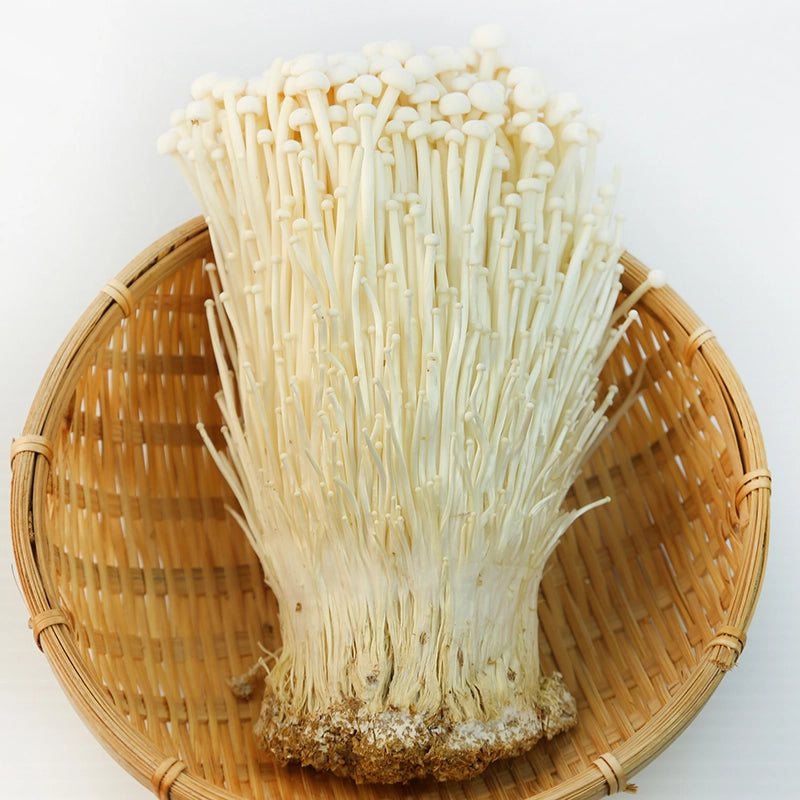 Enoki Pilze im geflochtenen Holzkörbchen