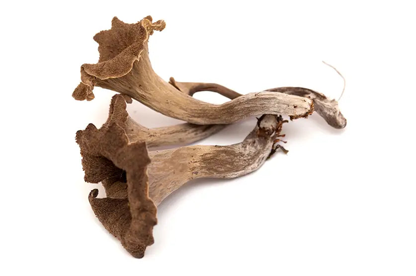 Getrocknete Herbsttrompeten