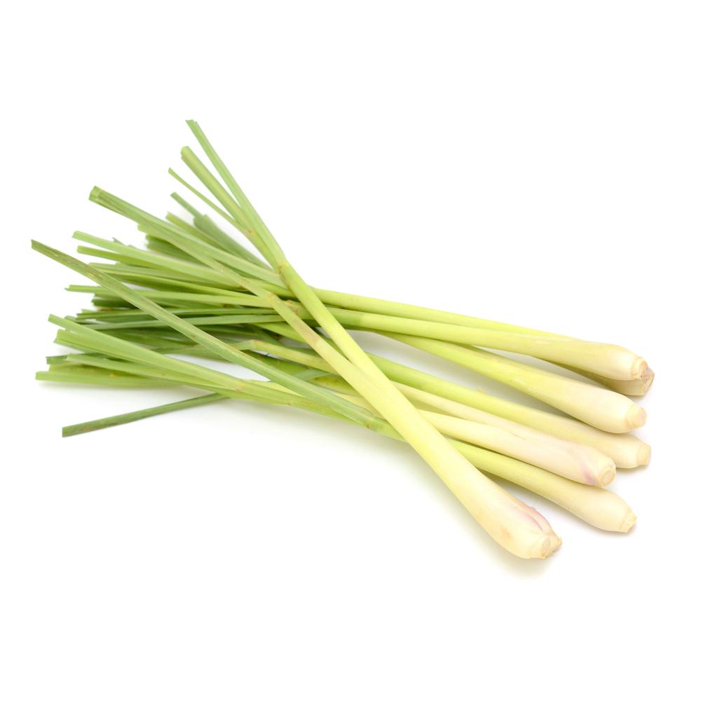 Zitronengras oder Lemongrass