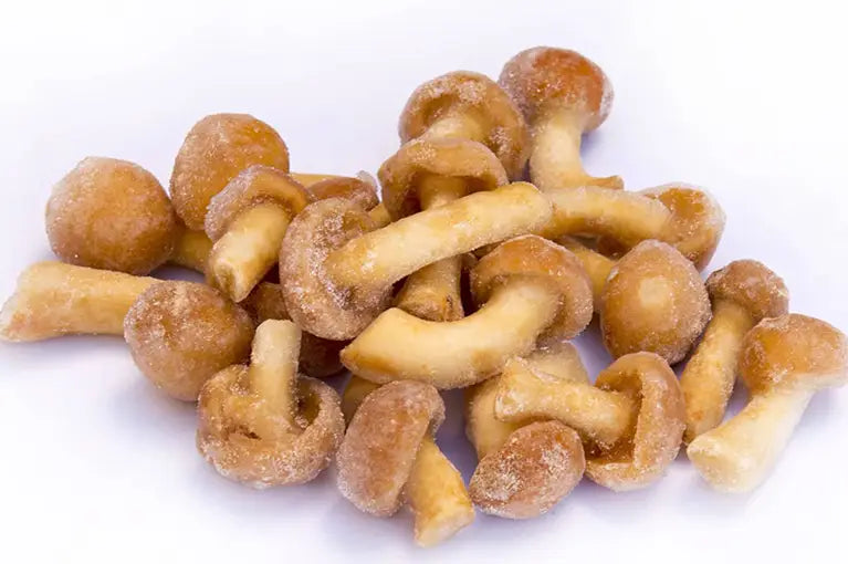 Stockschwämmchen T.K.