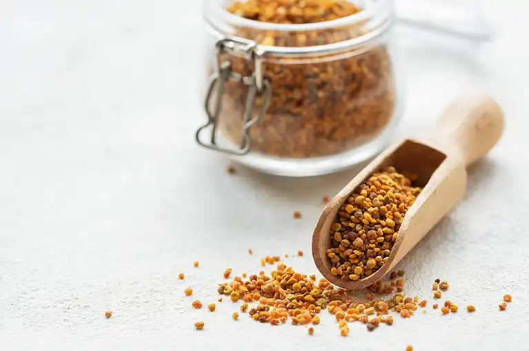 Bienenpollen aus rumänischen Wäldern