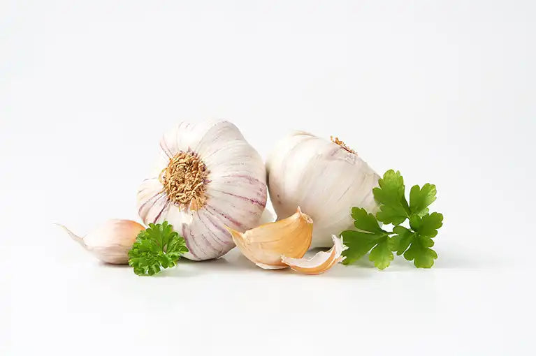Bio Knoblauch