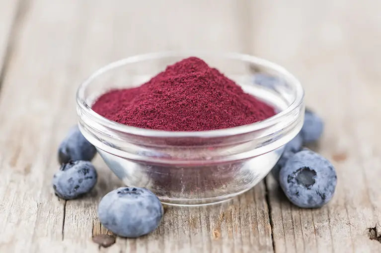 Blaubeere Fruchtpulver 50g