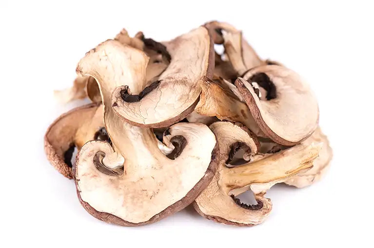 pilze getrocknet aufbewahren Champignons