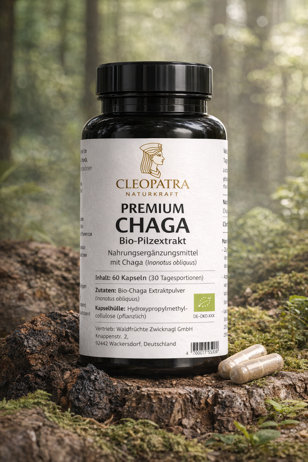 Premium Chaga Bio-Pilzextrakt Kapseln