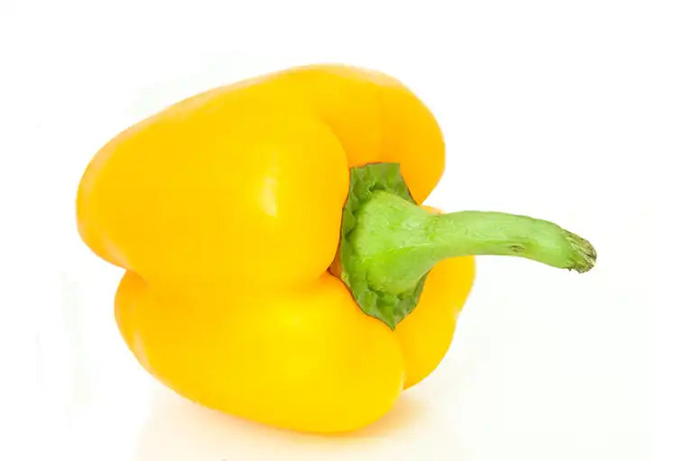 Frische Bio Paprika gelb
