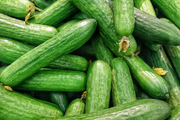 Frische Gurken