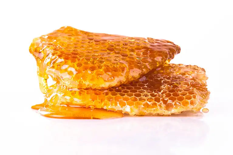 Honigwabe Wabenteil in Akazienhonig