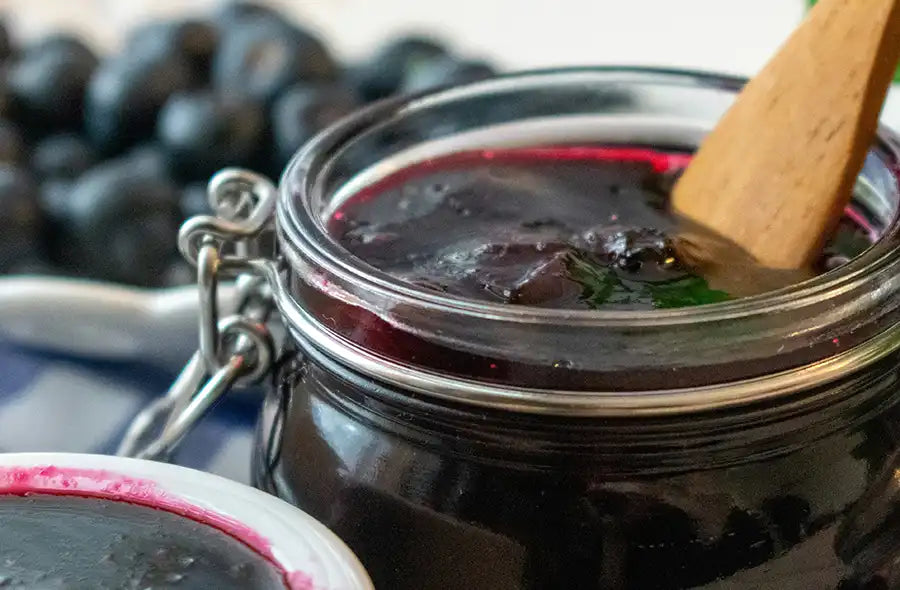 Schwarze Johannisbeere Konfitüre
