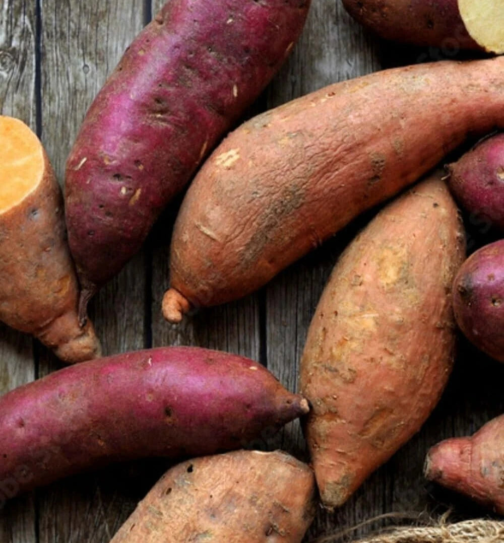 Frische verschiedene Süßkartoffeln