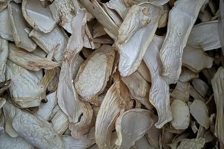 Kräuterseitlinge getrocknet