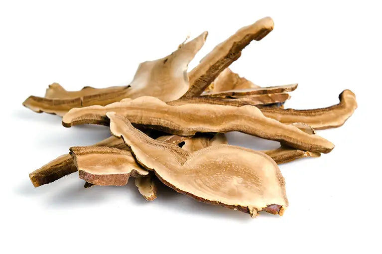 Lingzhi Reishi getrocknete Pilze