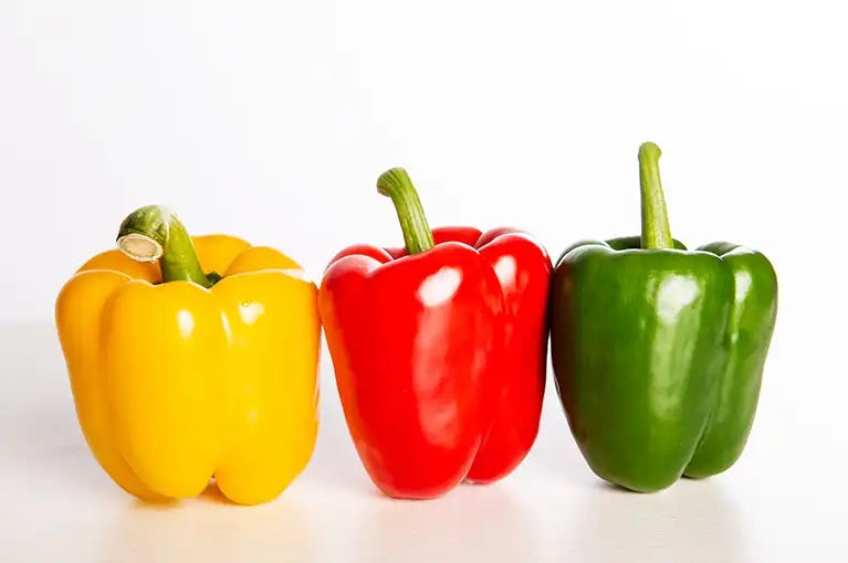 Frische Bio Paprika gemischt