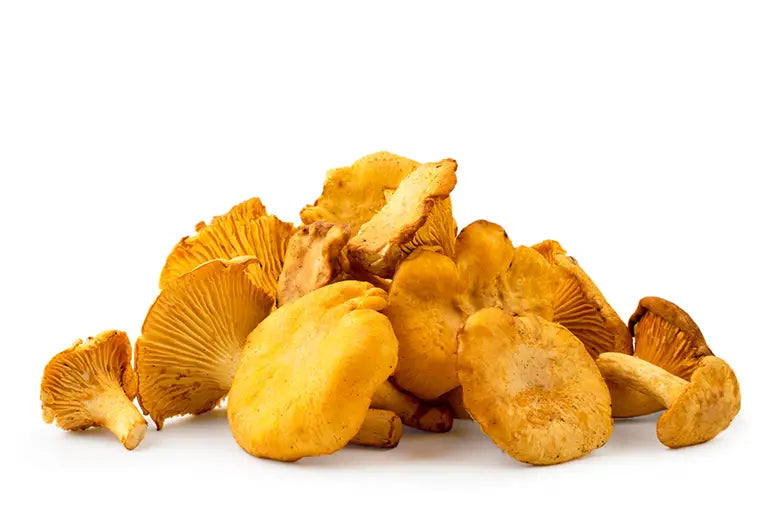 frische pfifferlinge aufbewahren Frische Pfifferlinge
