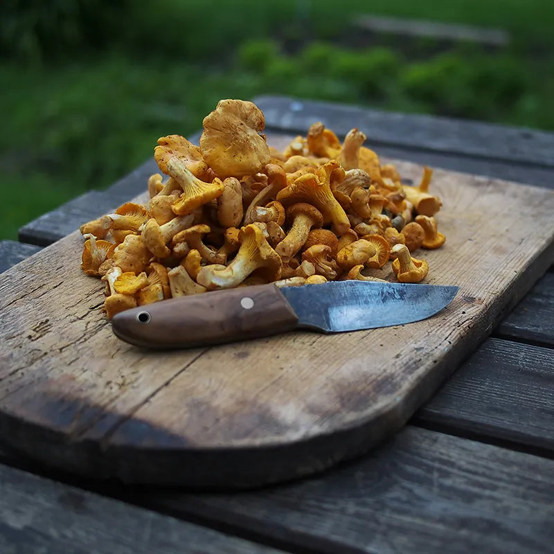Pfifferlinge auf einem Holzbrett