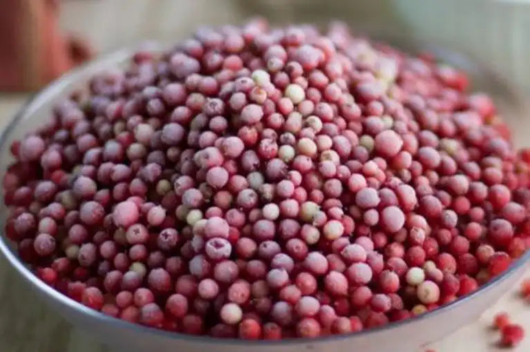 Wildpreiselbeeren gefroren