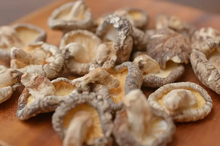 Shiitake Pilze gtrocknet 100g