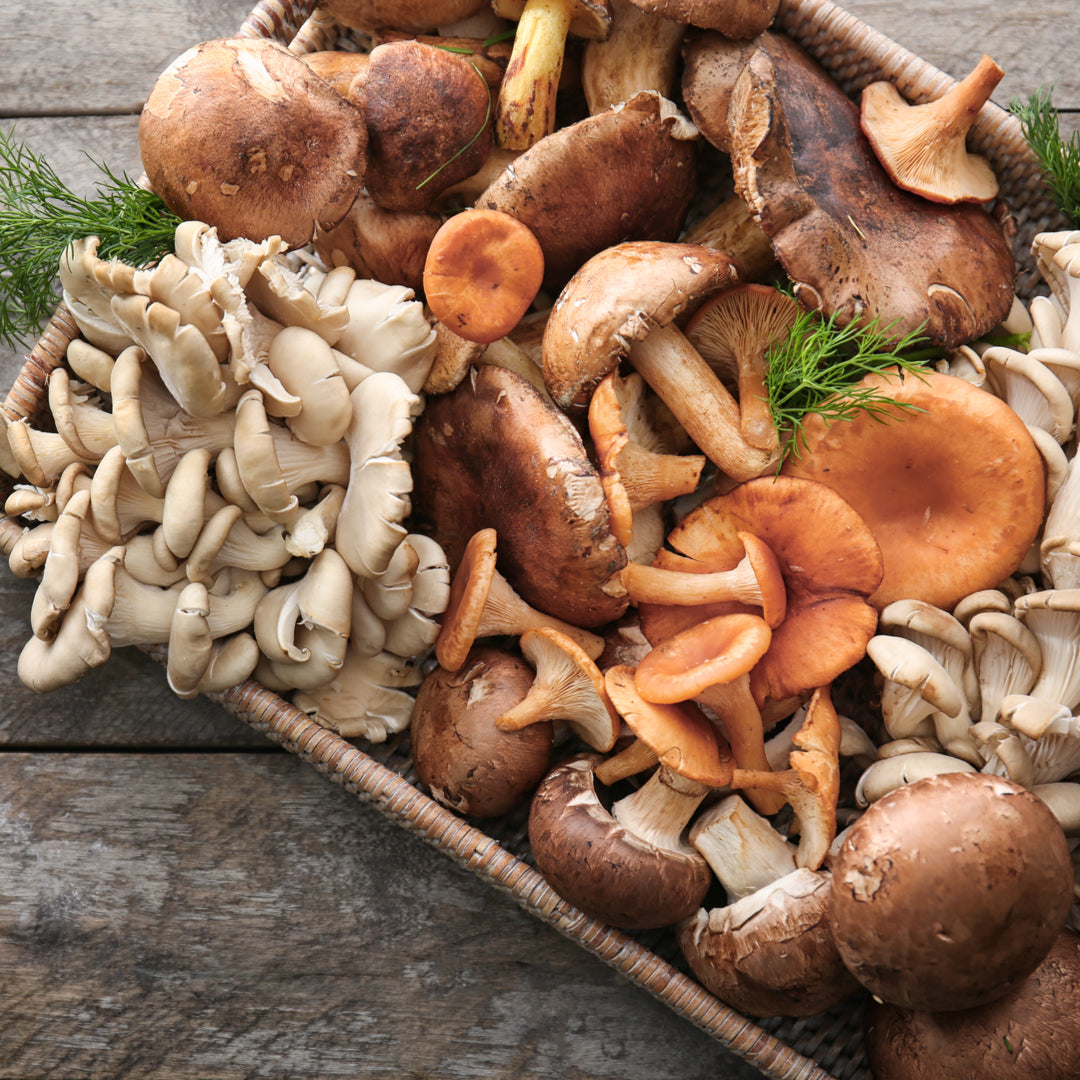 Frische Kulturpilze und 1 Packung Pilzpulver für Soße - 15 g