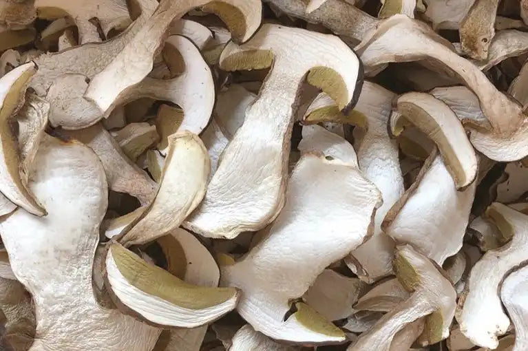 Steinpilze getrocknet