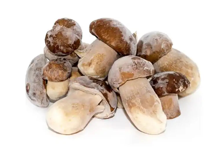 Steinpilze Piccolo tiefgefroren