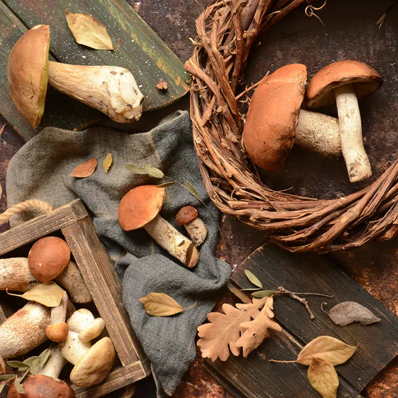 Steinpilz Sammlung im Holzkorb