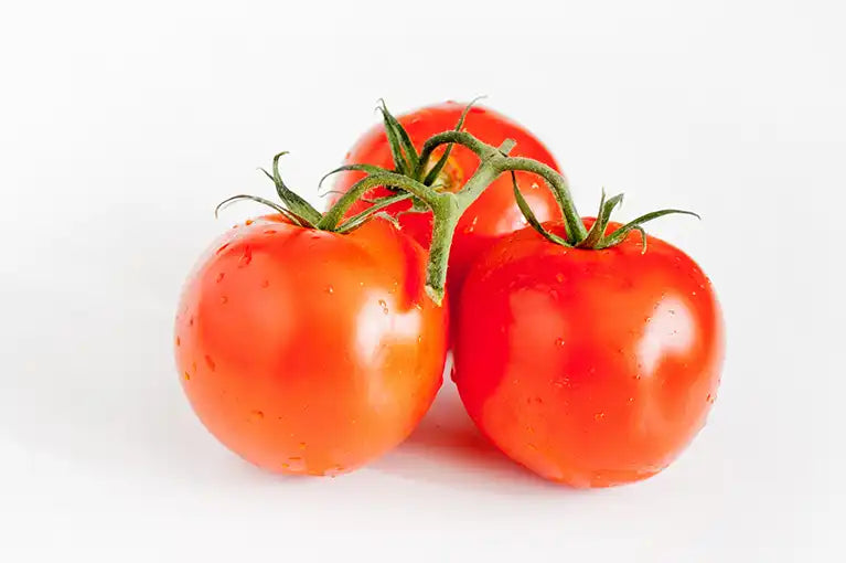 Frische Tomaten