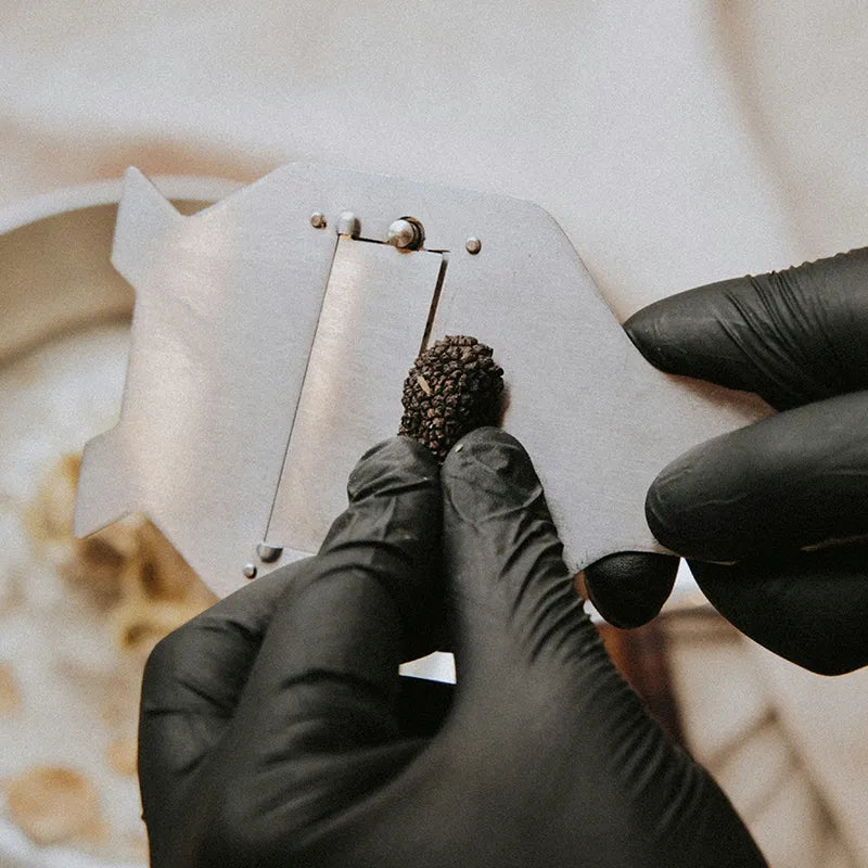 Trüffel Pilz mit Hobel