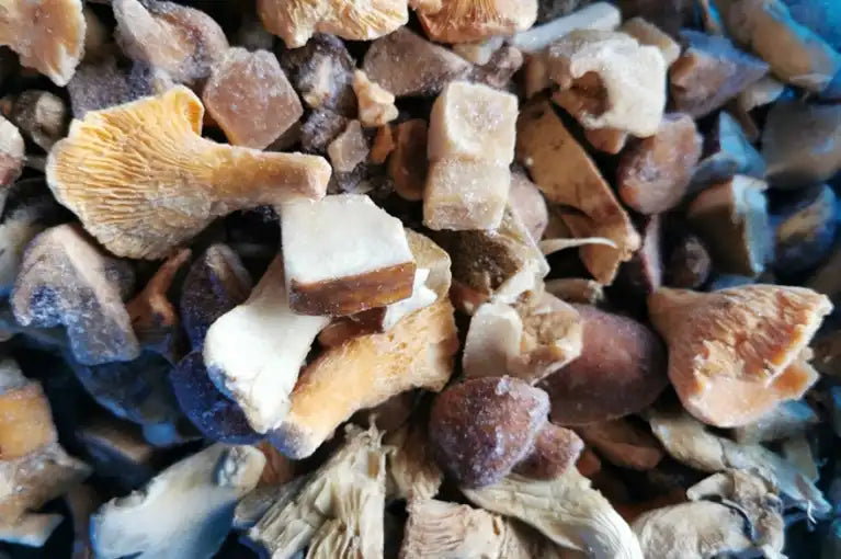 Waldpilzmischung gefroren