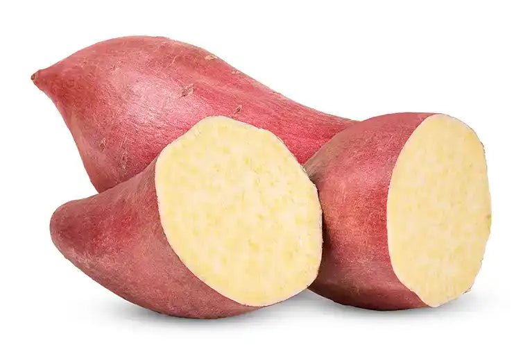 Frische rot weiß Süßkartoffeln