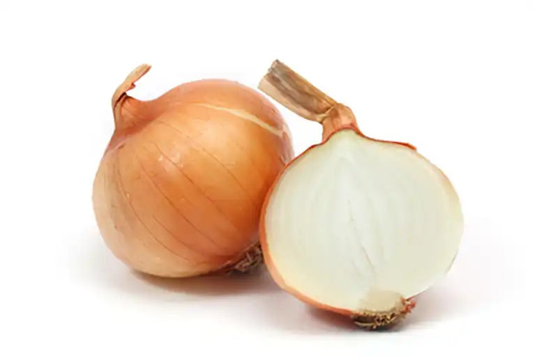 Frische Bio Zwiebeln gelb