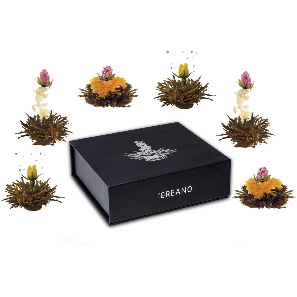 Magnetbox 6er Erblüh Tee Schwarzer Tee
