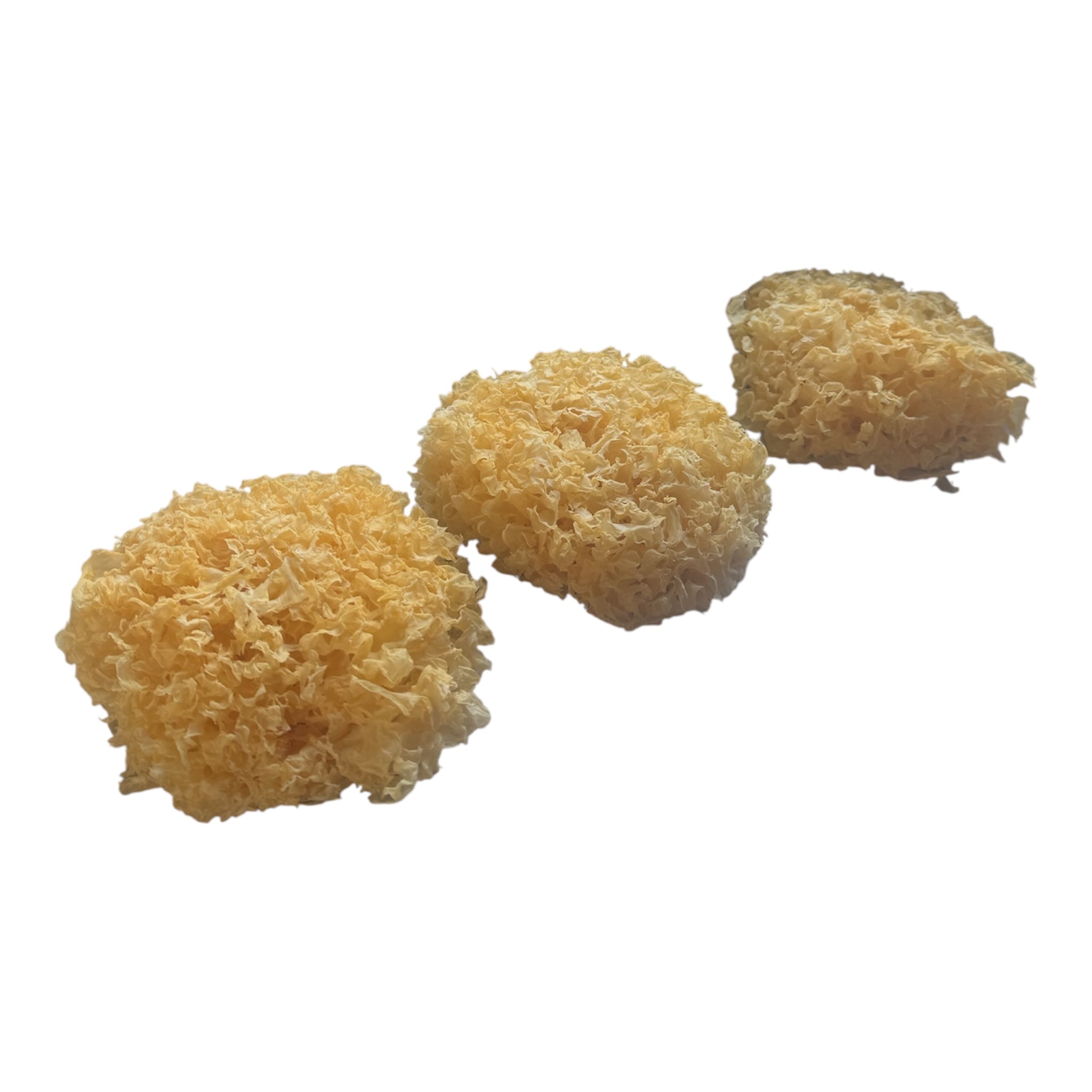 Krause Glucke oder Fette Henne - getrocknet