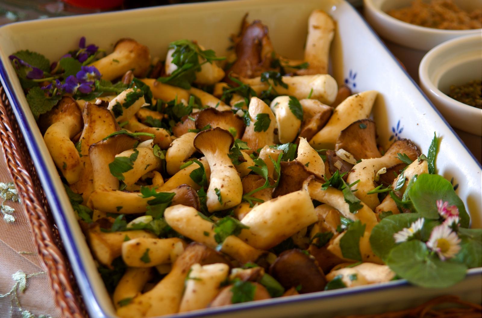 Kräuterseitlinge mit Olivenöl & Knoblauch