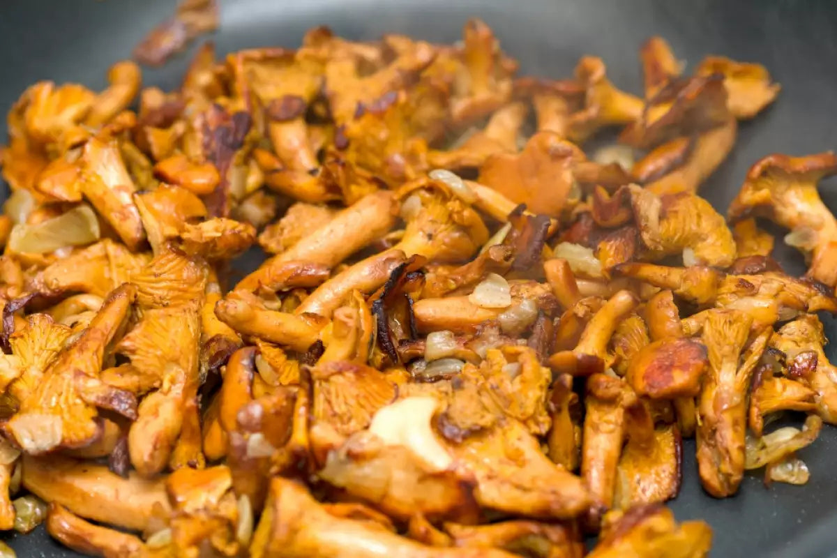 Pfifferlinge mit Olivenöl & Petersilie