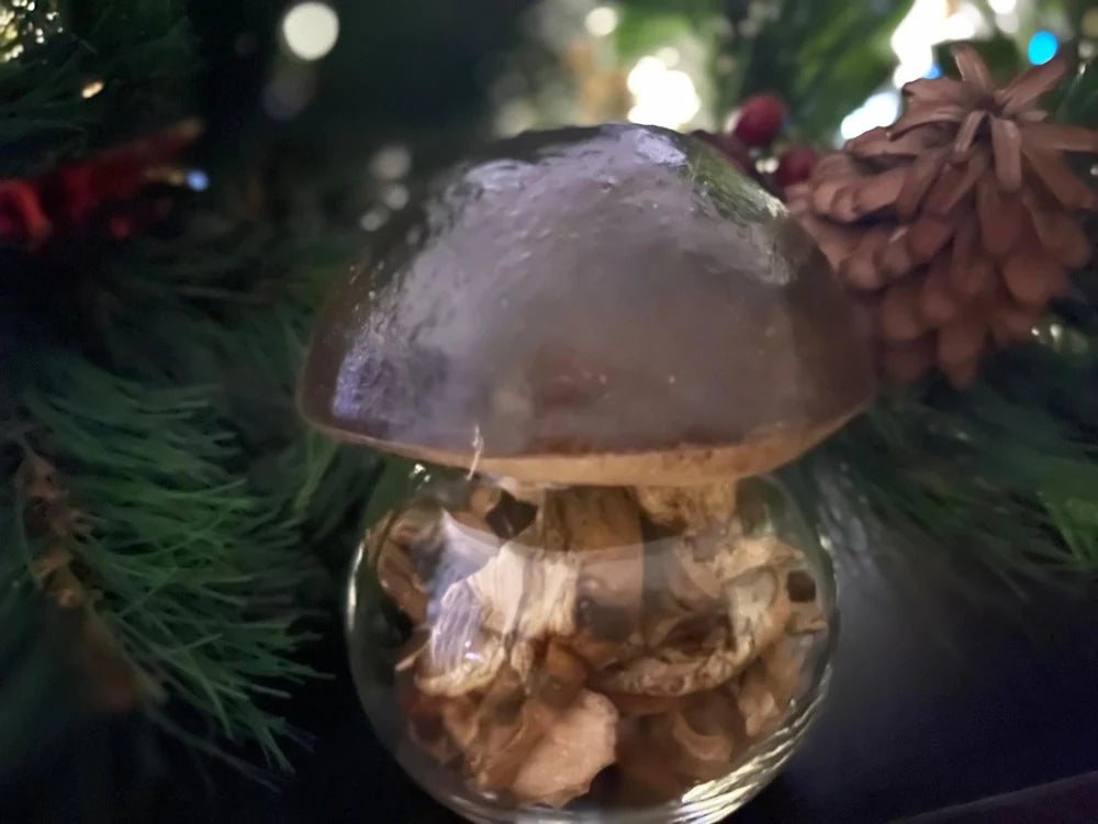 Pilzglas „Waldzauber”