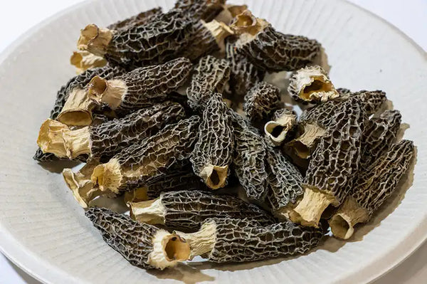 frische morcheln aufbewahren Morcheln mini