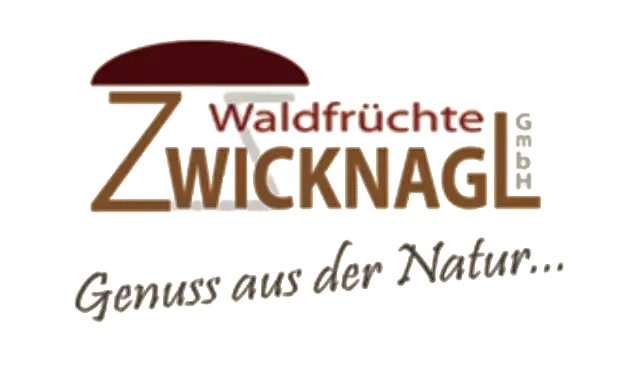 Frische Pfifferlinge kaufen | Waldfrüchte Zwicknagl